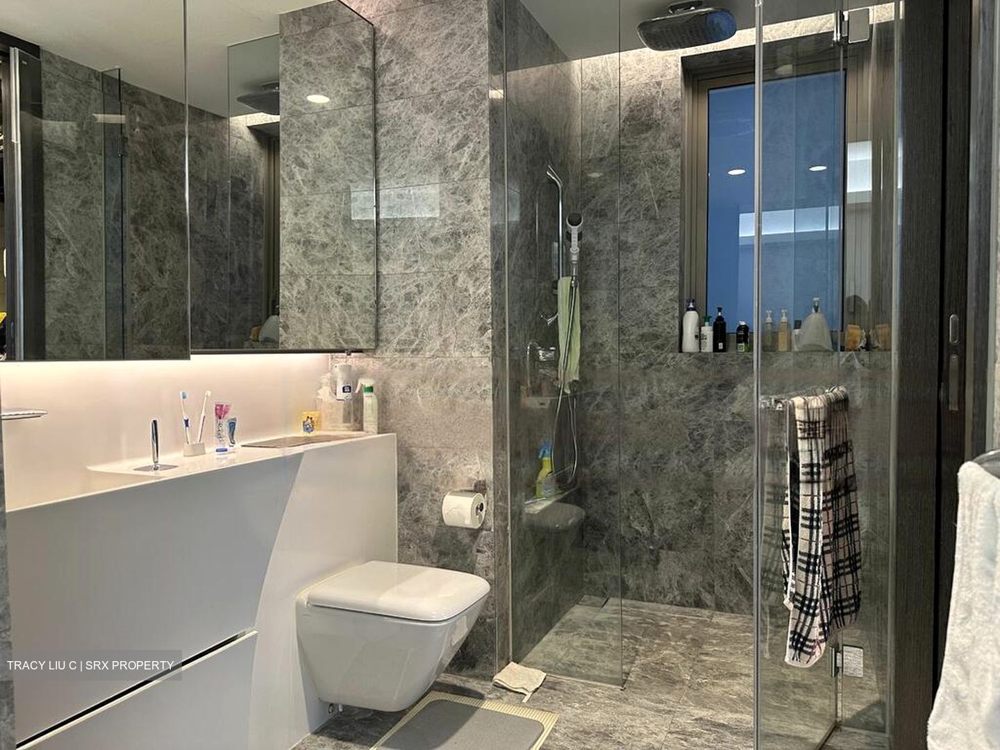 Cairnhill Nine (D9), Apartment #473415821